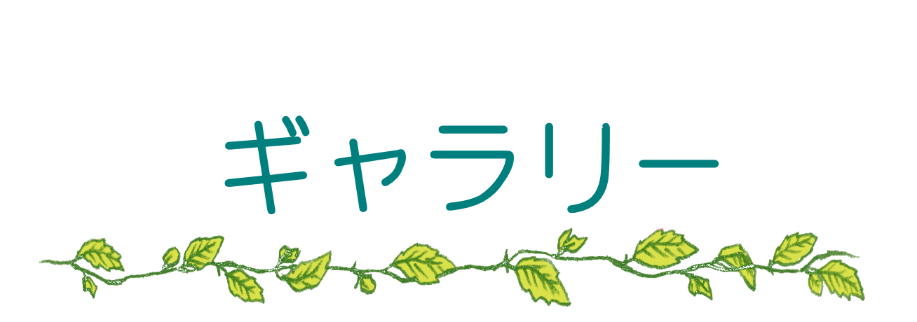 ギャラリー